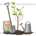 АССОРТИМЕНТ ПЛОДОВО-ЯГОДНЫХ И ДЕКОРАТИВНЫХ КУЛЬТУР НА ВЕСНА 2017 ГОДА